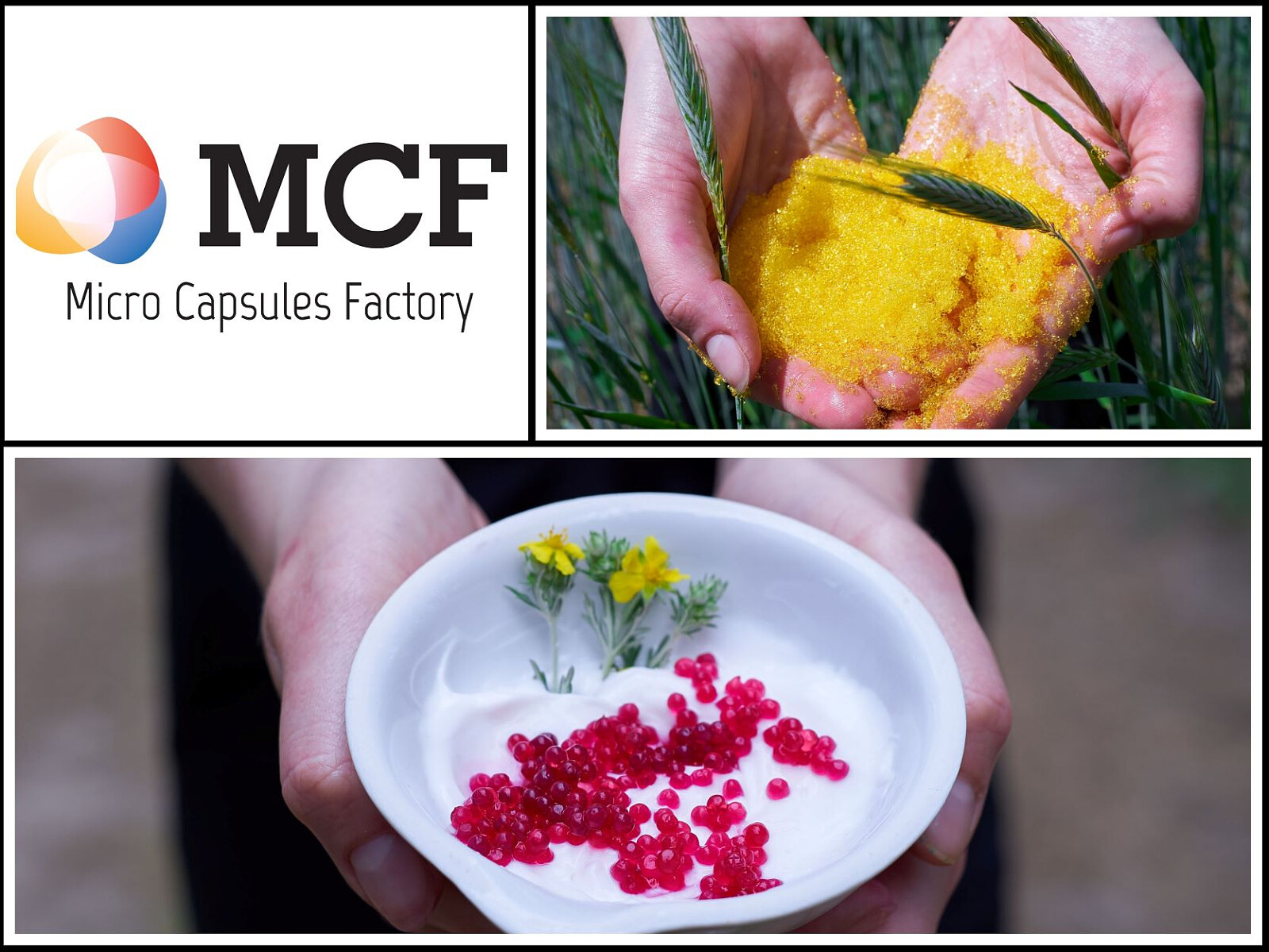 Microencapsulation alters the way cosmetics are produced. Innovation ...