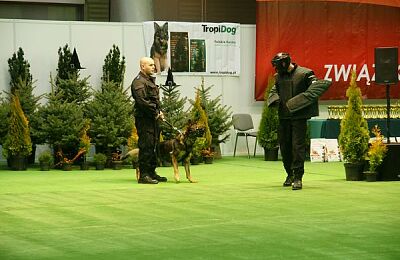wystawa-psow-2016-01.jpg