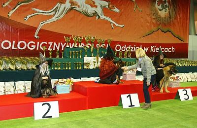 wystawa-psow-2016-sabat-09.jpg