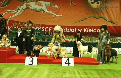 wystawa-psow-2016-sabat-28.jpg
