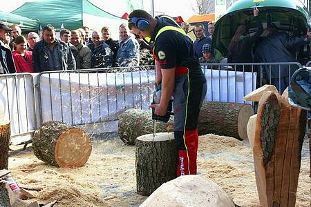 The Timber Industry & Forest Resources Management Fair LAS-EXPO gives you the chance to take part in business insiders’ meetings and demonstrations of state of the art equipment and machines