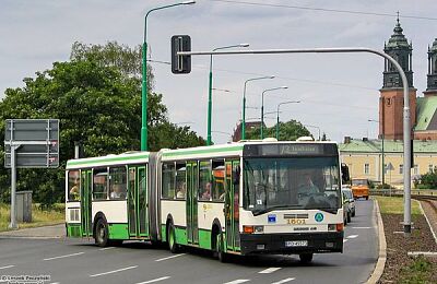 ikarus-435.jpg