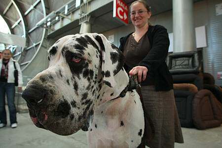 Not only the most beautiful dogs will be displayed this year in Targi Kielce, there will also be other pets