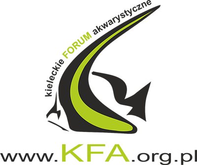 aktualnosci-wystawa-psow-logo-kfa-m.png