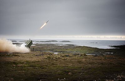 nasams-live-firex-2011.jpg