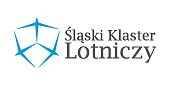 laski-klaster-lotniczy.jpg