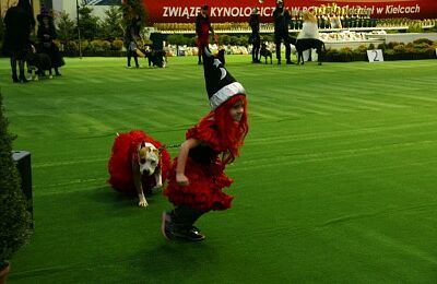 wystawa-psow-2015-15.jpg