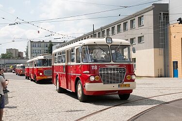 zdjecie-ikarus-620.jpg