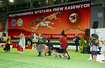 wystawa-psow-2016-sabat-06.jpg