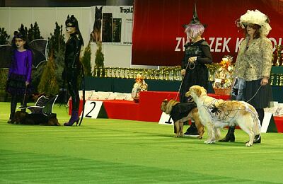 wystawa-psow-2016-sabat-21.jpg