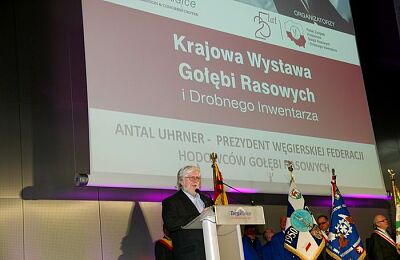 wystawa-golebi-25-lecie-zwiazku-19.jpg