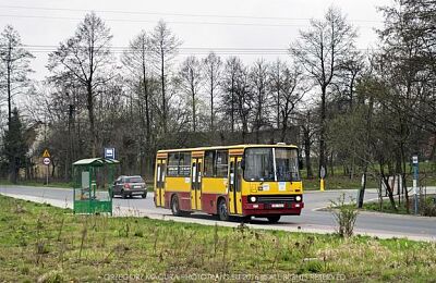 ikarus-260.jpg