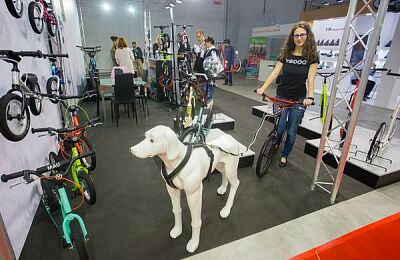 bike-expo-ciekawostki-02.jpg