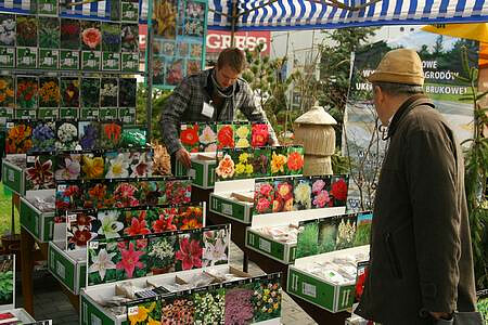 Colourful flowers on OGRÓD i TY fairs display catch the eye of numerous fair visitors