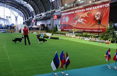 wystawa-psow-2015-galeria-07.jpg