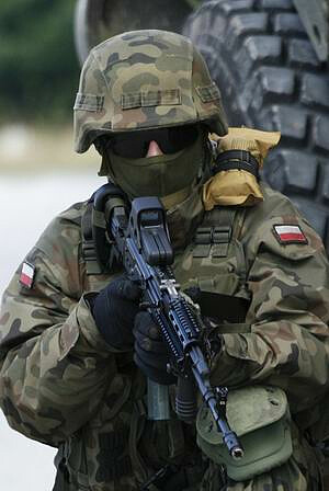 The first day of the MSPO will feature the operations of a platoon in an ambush