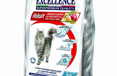 excellence-adult-monge.jpg
