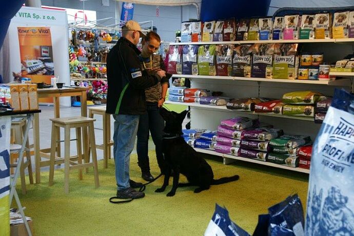 wystawa-psow-2015-06.jpg