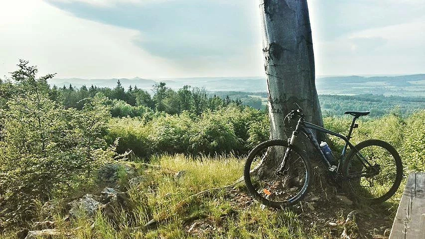 61779404-1438334569641604-4989001180303589376-n.jpg [89.49 KB]