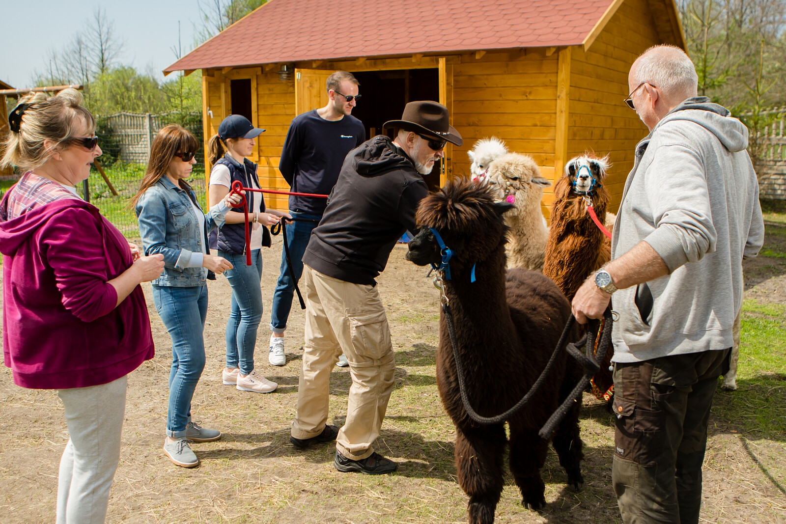 alpaki07.jpg [1.72 MB]