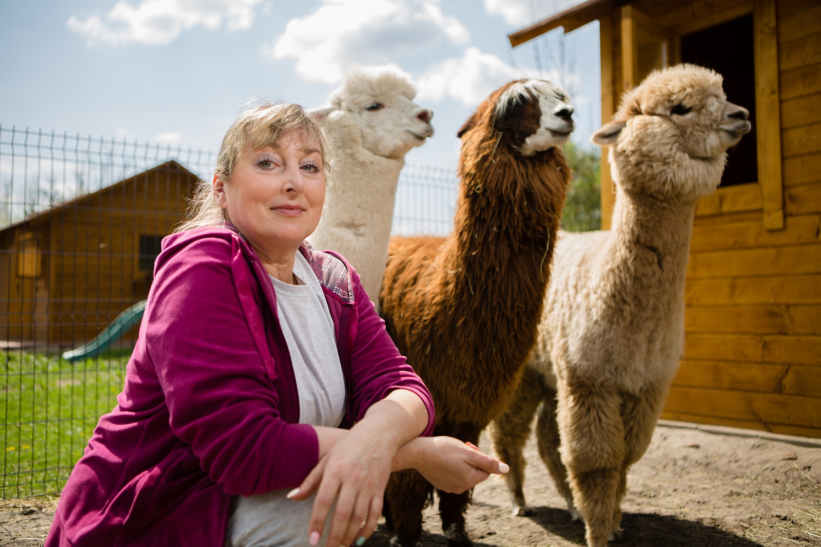 alpaki15.jpg [1.19 MB]