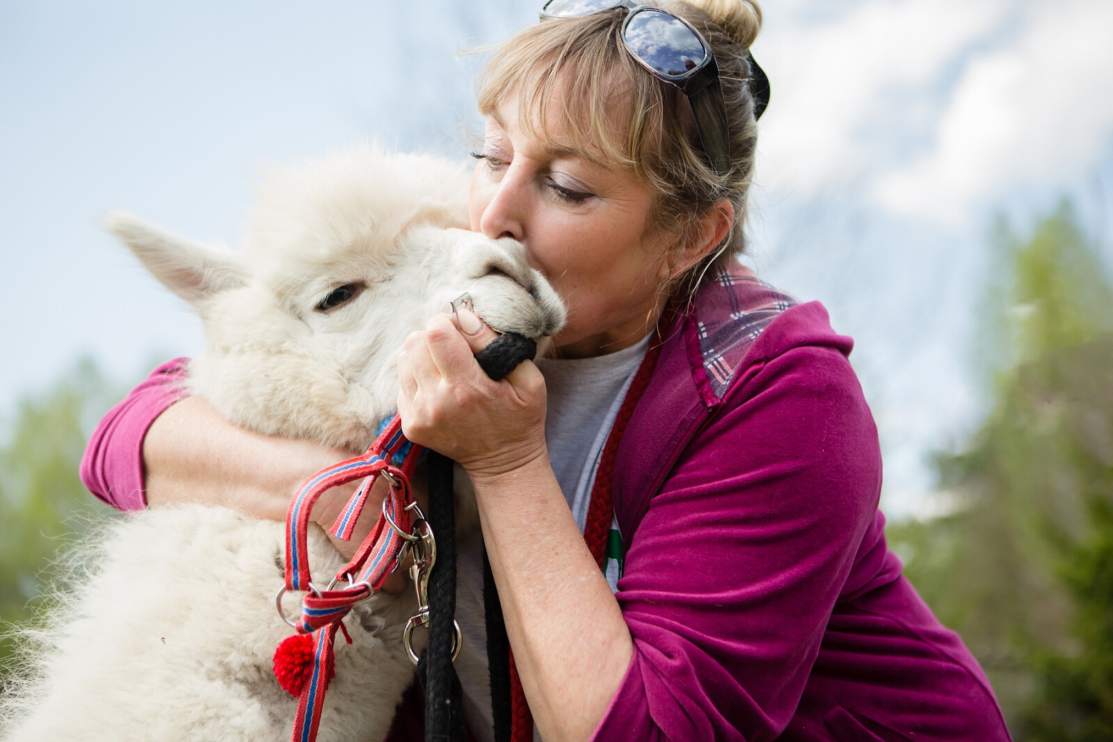 alpaki01.jpg [1.15 MB]