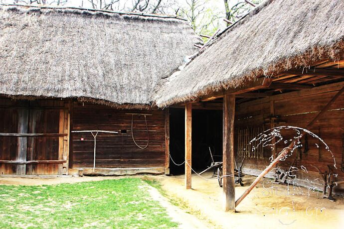 muzeum 4.jpg