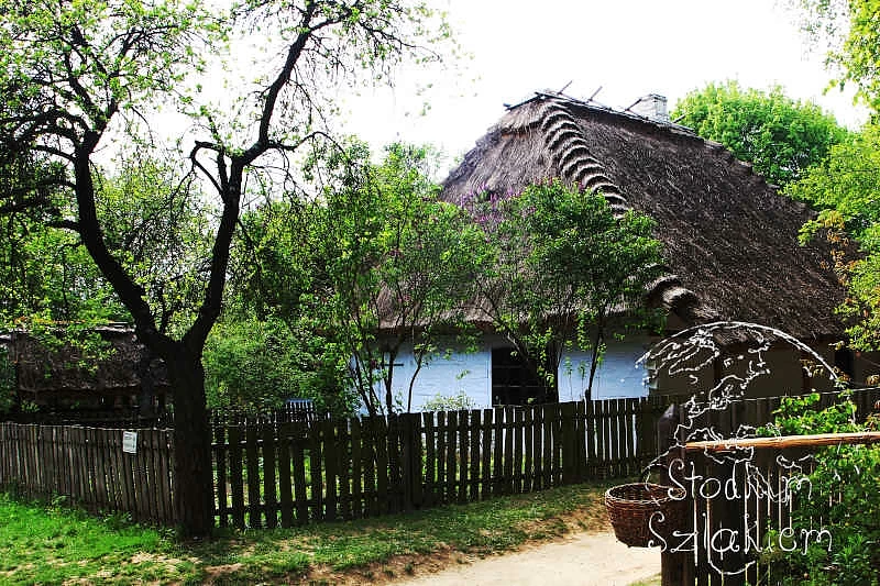 muzeum 3.jpg [128.29 KB]