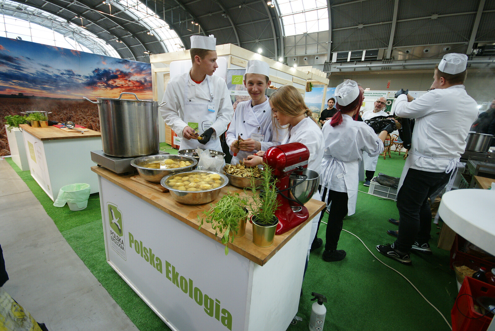 DSC00246.JPG [3.51 MB]