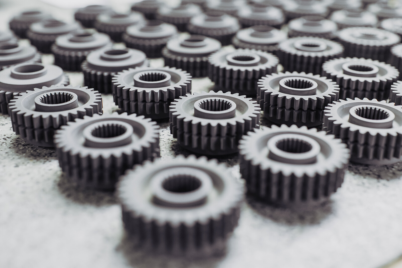 732A5007.jpg [5.62 MB]