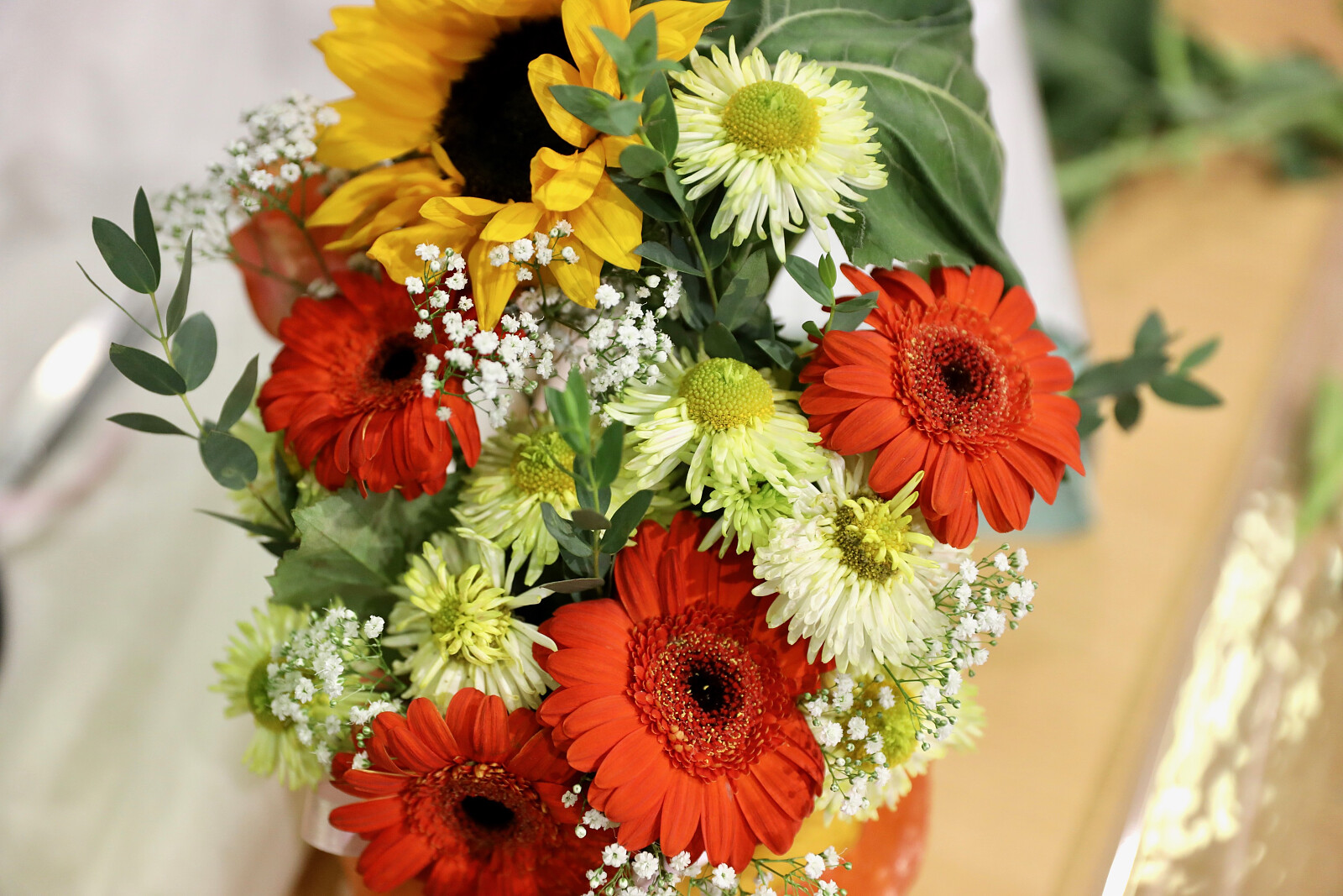 1Z6L2628.jpg [1.21 MB]