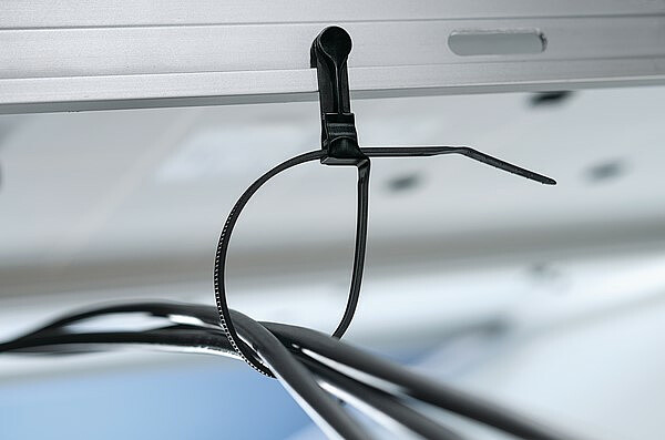 hel-1.jpg [32.62 KB]