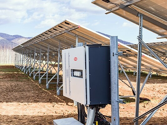 tauro.jpg [78.71 KB]