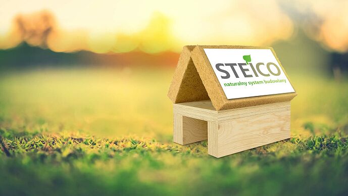 csm-AdobeStock-251506407-STEICO-Logohaus-pl-7d1825a67b.jpg