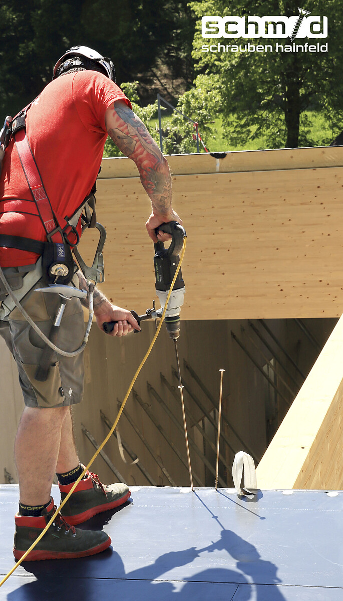 SchmidSchaubenHainfeld-1.jpg [921.19 KB]