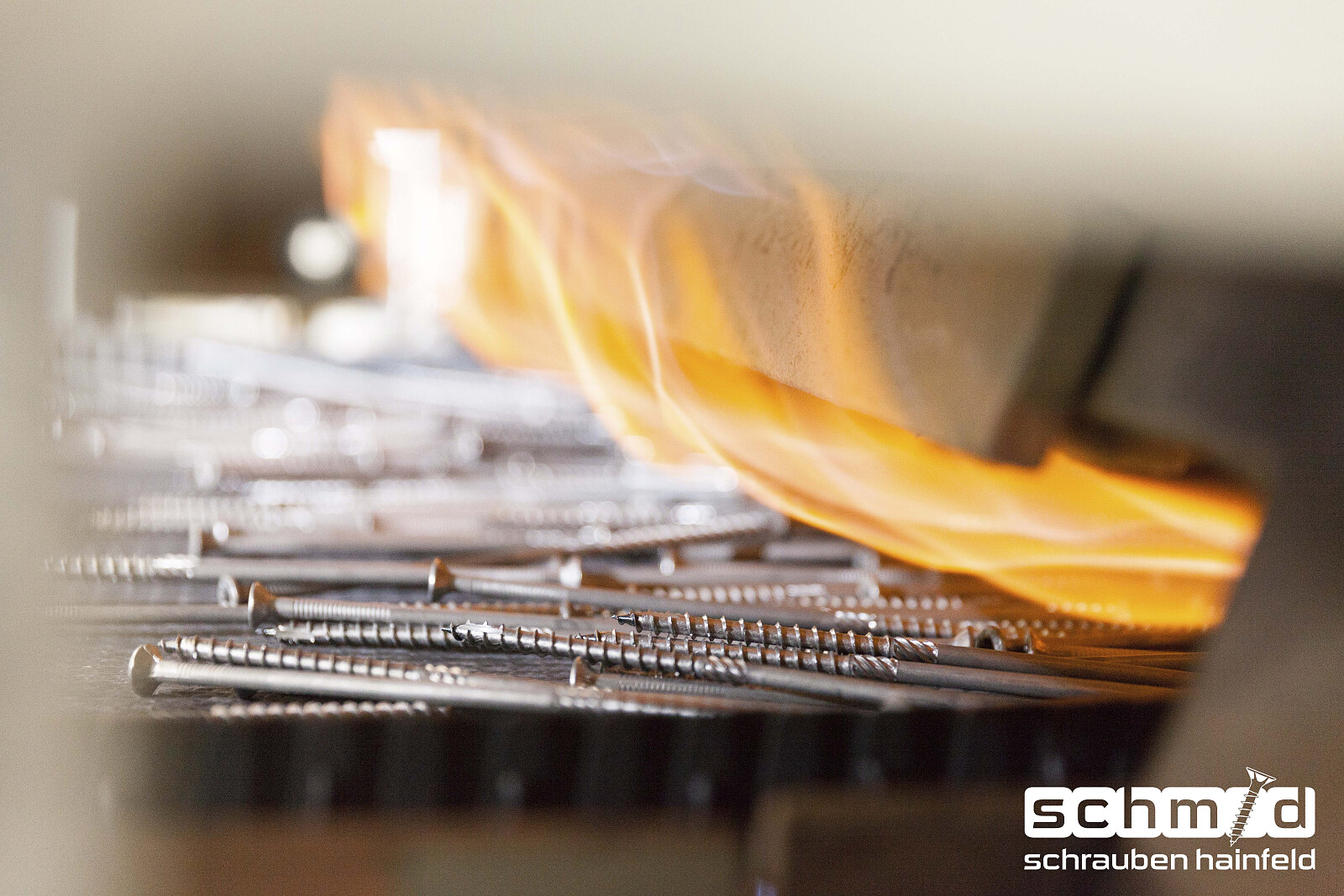 SchmidSchaubenHainfeld-4.jpg [2.08 MB]