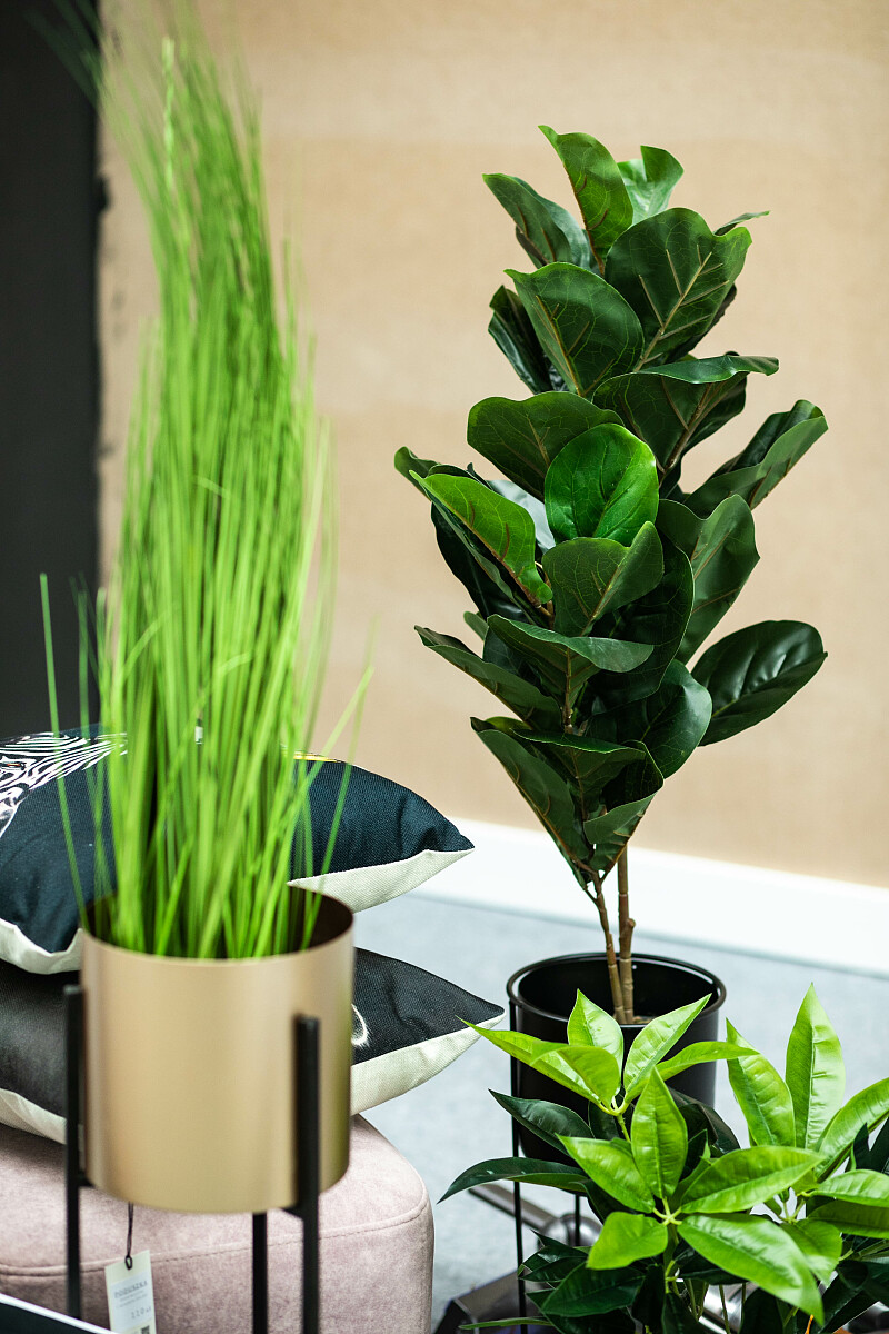 099A6801.jpg [1.11 MB]