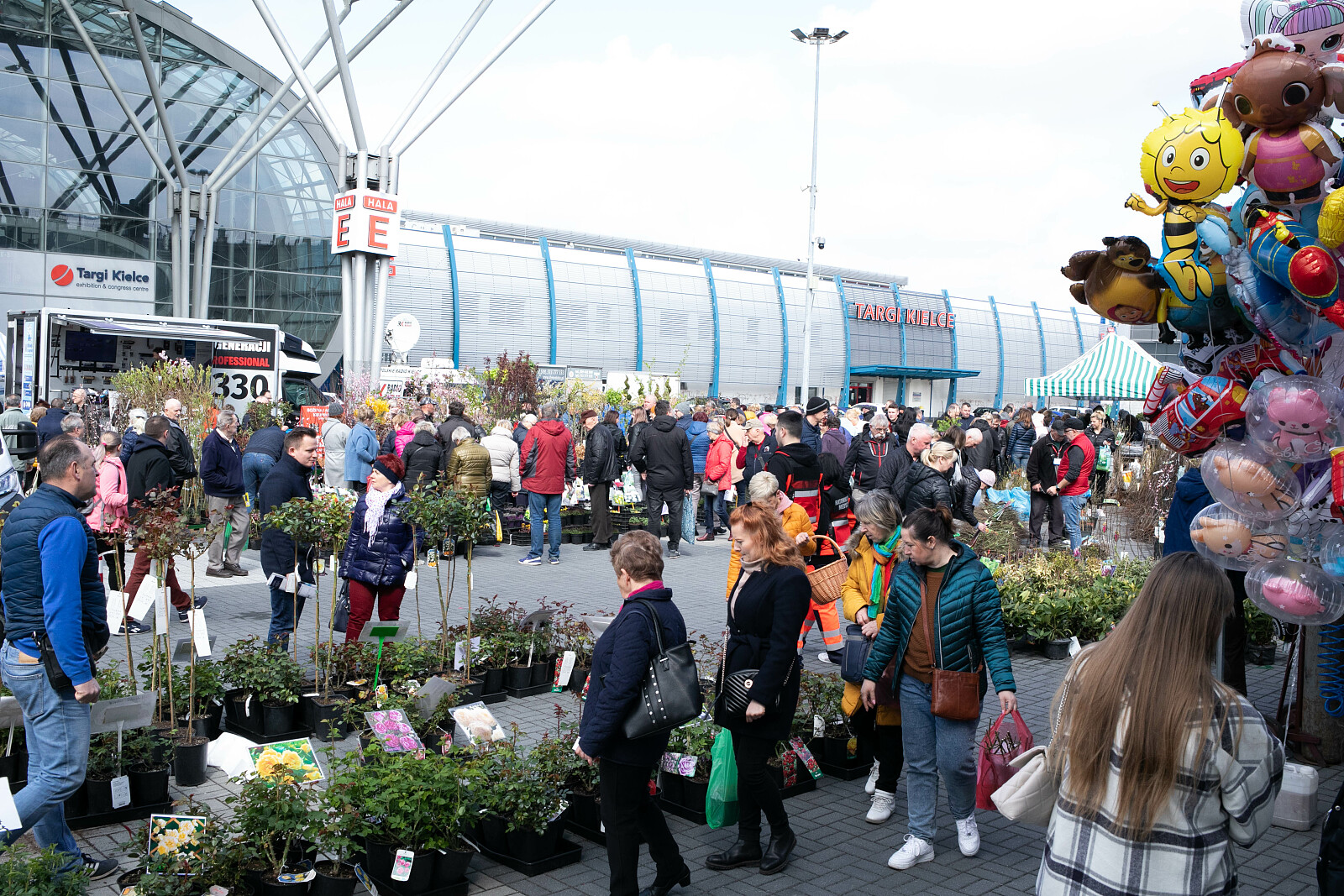 099A7193.jpg [1.96 MB]