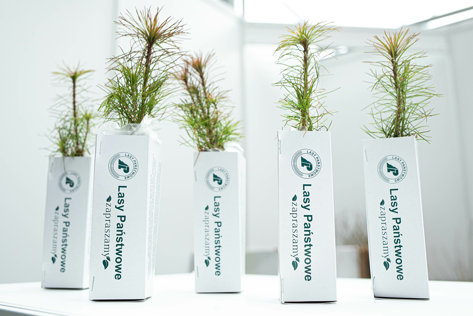 099A7465.jpg [831.38 KB]