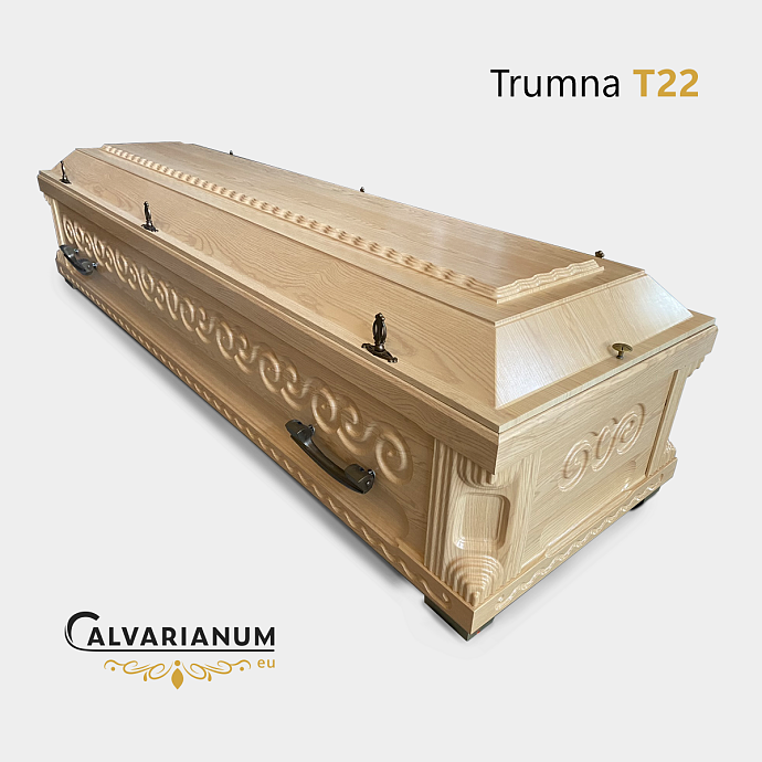t22.png