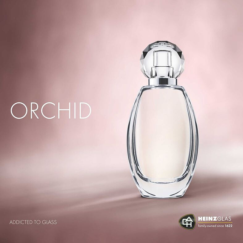Orchid.JPG [46.22 KB]