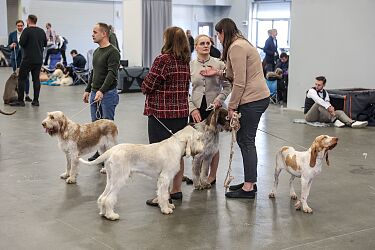 642a8954-20221120-TK-Miedzynarodowa-Wystawa-Psow.jpg