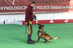 642a8814-20221120-TK-Miedzynarodowa-Wystawa-Psow.jpg