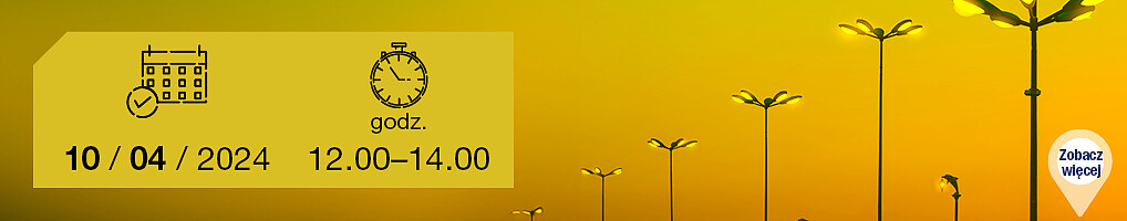 debata-koszty-oswietlenia.jpg [124.43 KB]