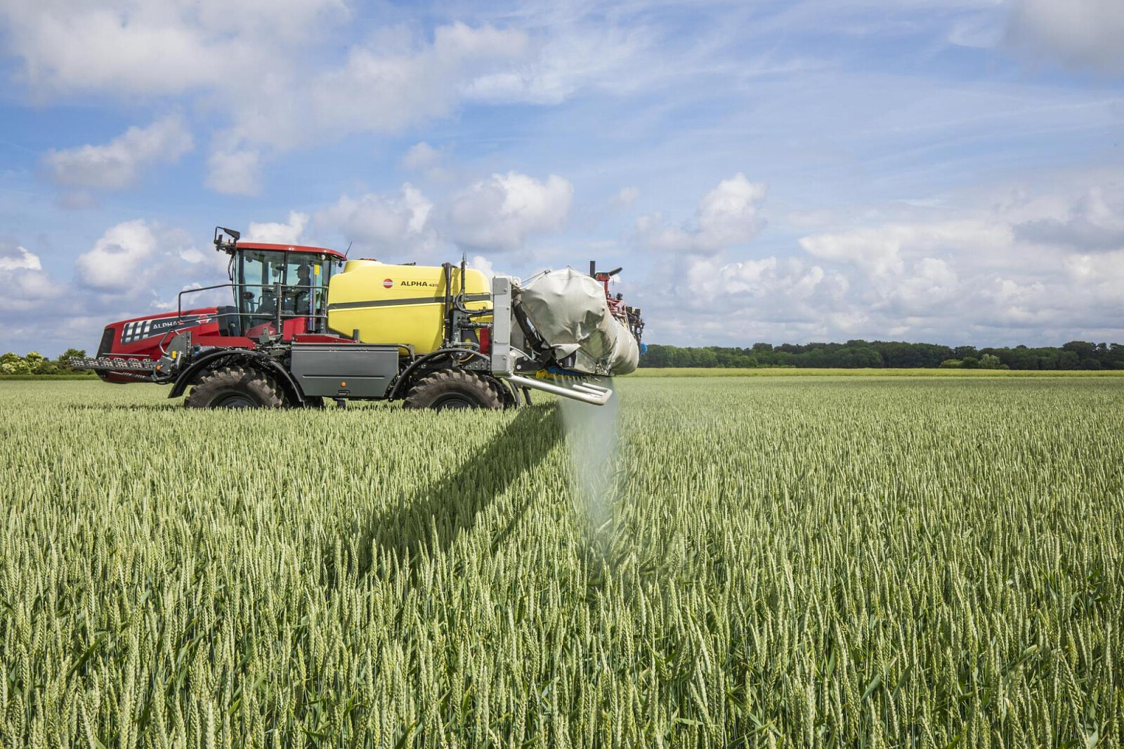 ALPHA-evo-III-wheat-field-06-2022-1520.jpg [455.05 KB]