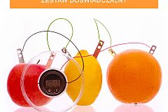 zegar-z-bateria-owocowa-zestaw-doswiadczalny.jpg
