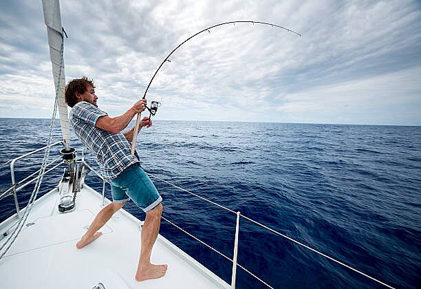 istockphoto-614326368-612x612.jpg