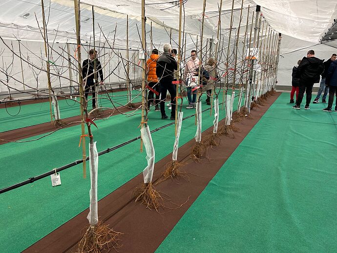 IMG-1191.jpg