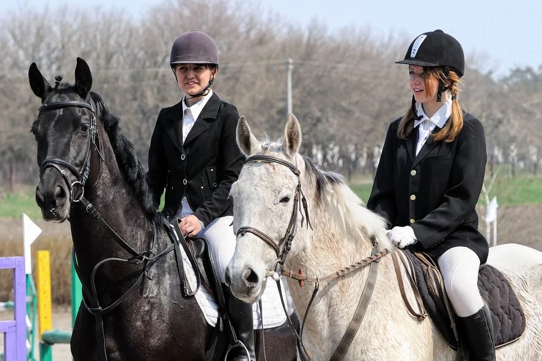 hippikon-profil-wystawcy-01.jpg [122.26 KB]