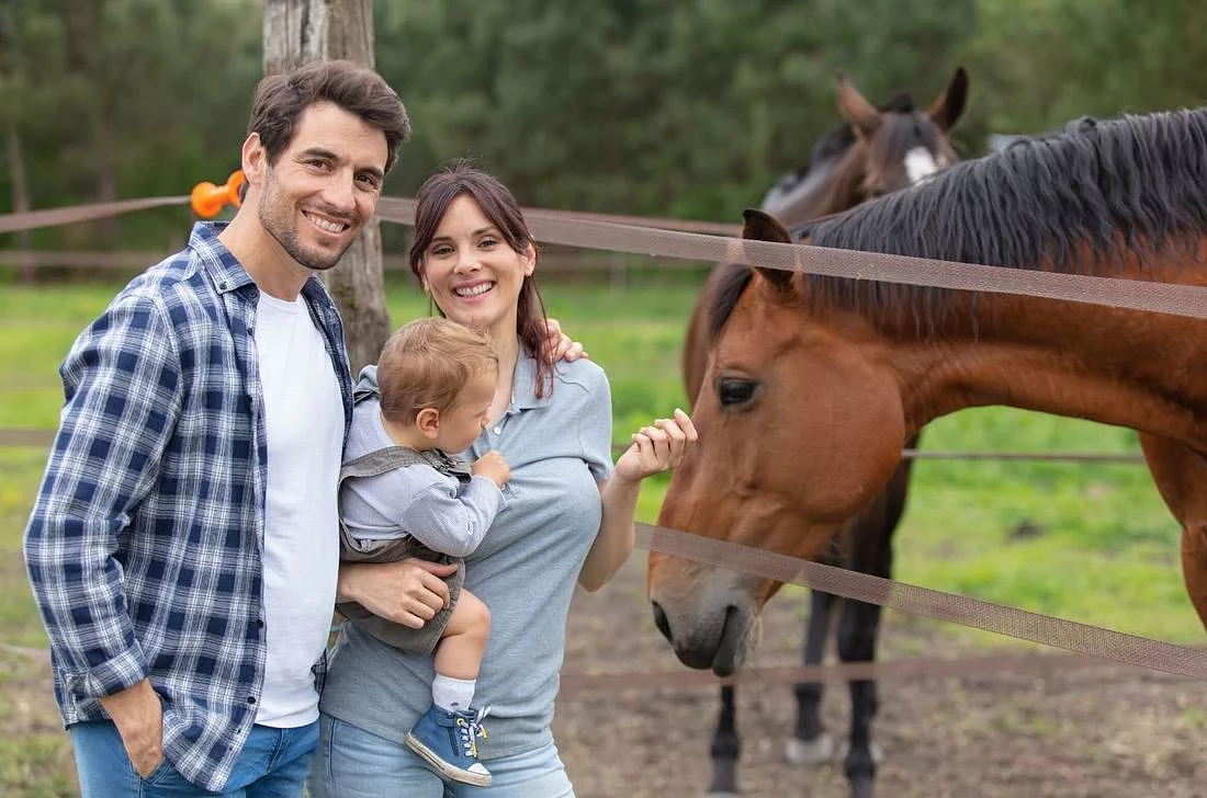 hippikon-profil-zwiedzajacego-01.jpg [111.06 KB]